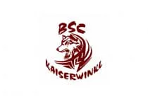 Turnier-der-BSU-St.-Veit Turnier-der-BSU-St.-Veit